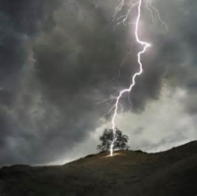 Lightning hitting tree at night